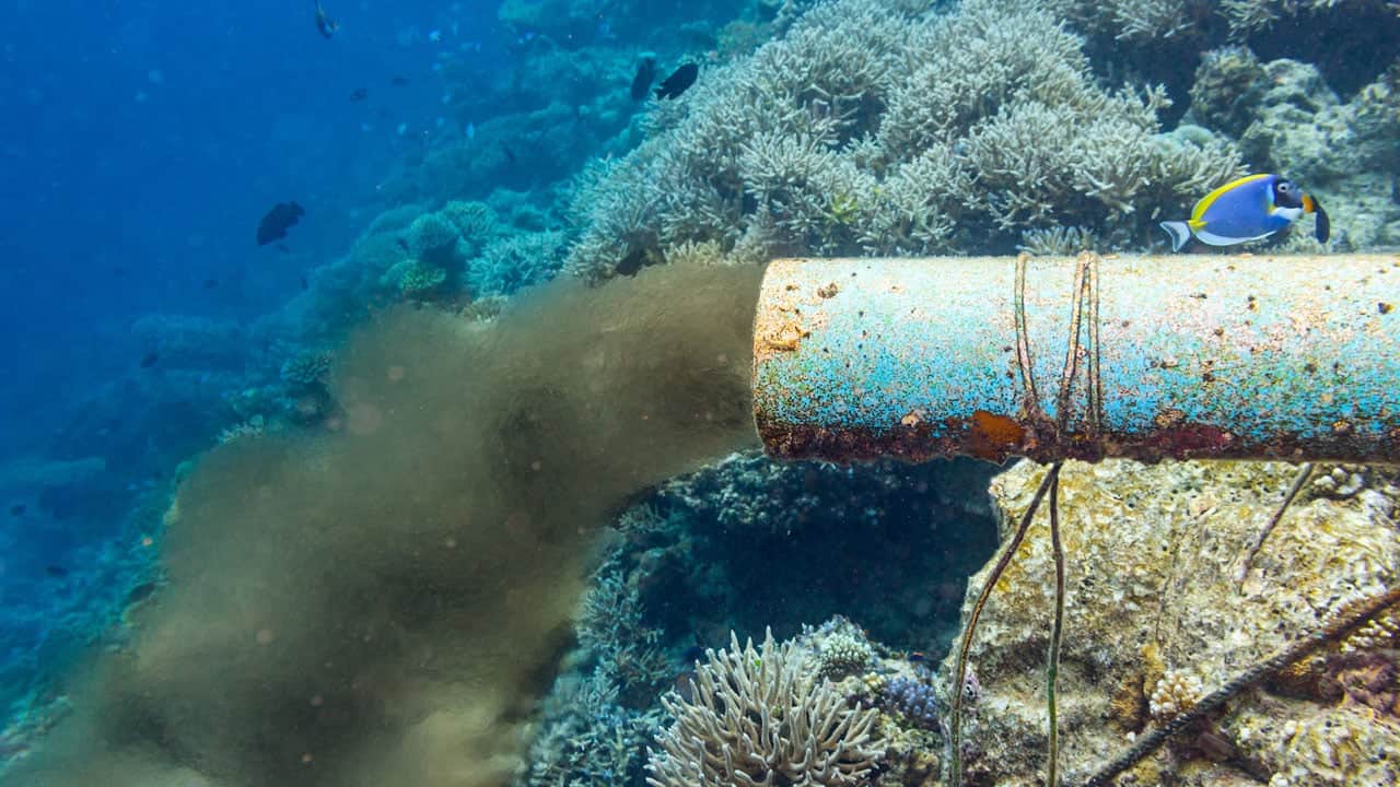 Foto - Denizin dibinde unutulan tehlike! Her yıl 500 ton plastik çıkıyor