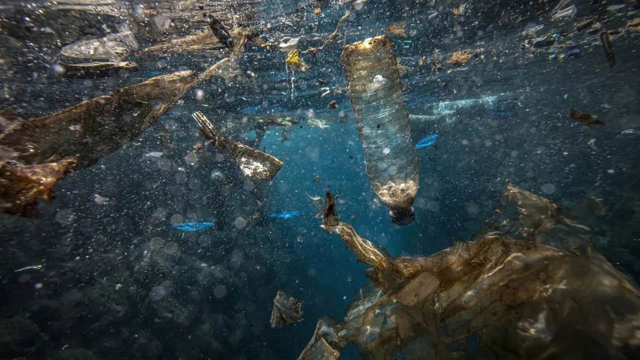 Foto - Denizin dibinde unutulan tehlike! Her yıl 500 ton plastik çıkıyor