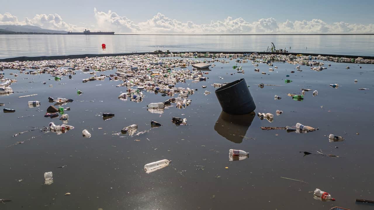 Foto - Denizin dibinde unutulan tehlike! Her yıl 500 ton plastik çıkıyor