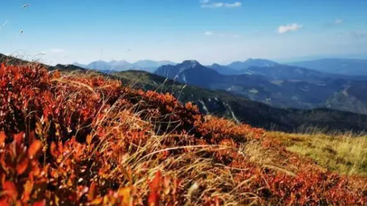 Foto - Gören gözlerine inanamıyor: Dağları tek başına kırmızıya boyadı!