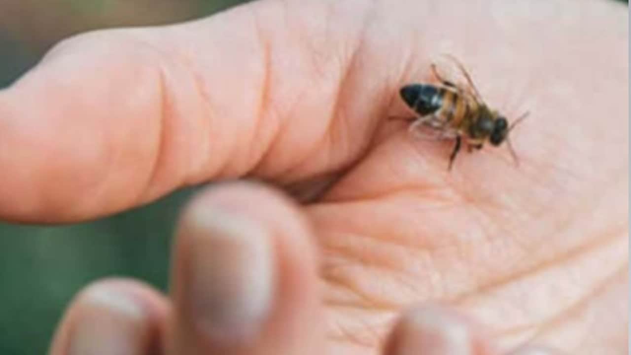 Foto - Doğru bilinen yanlışlar sakat bırakıyor: İlk yardım yaparken hayat yakmayın!