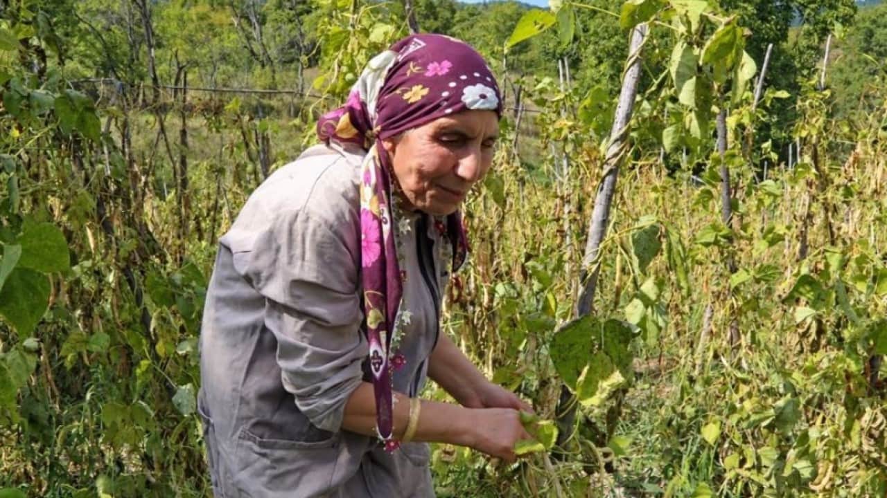 Foto - Doğuştan görme engelli kardeşler örnek oldu! Hayatı birlikte omuzladılar