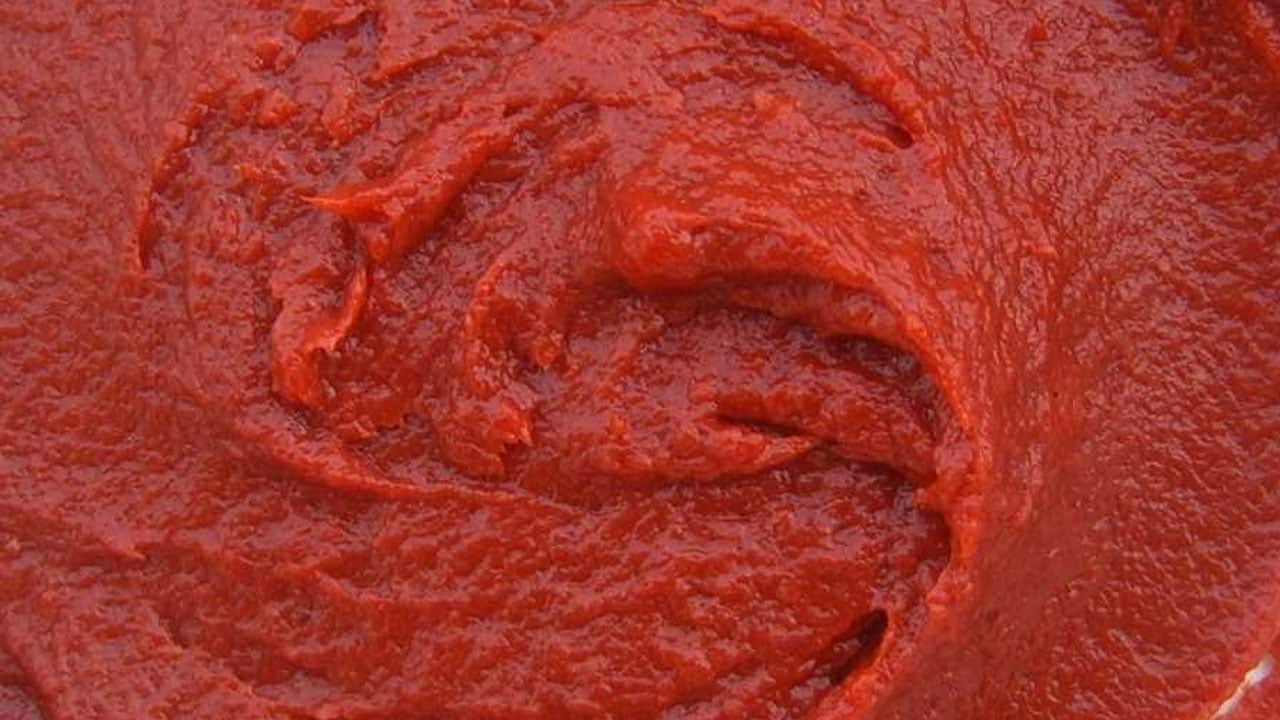 Foto - Domates hasadı başladı: Sadece O ilimiz bölgede 1’inci, Türkiye’de 7’nci sırada