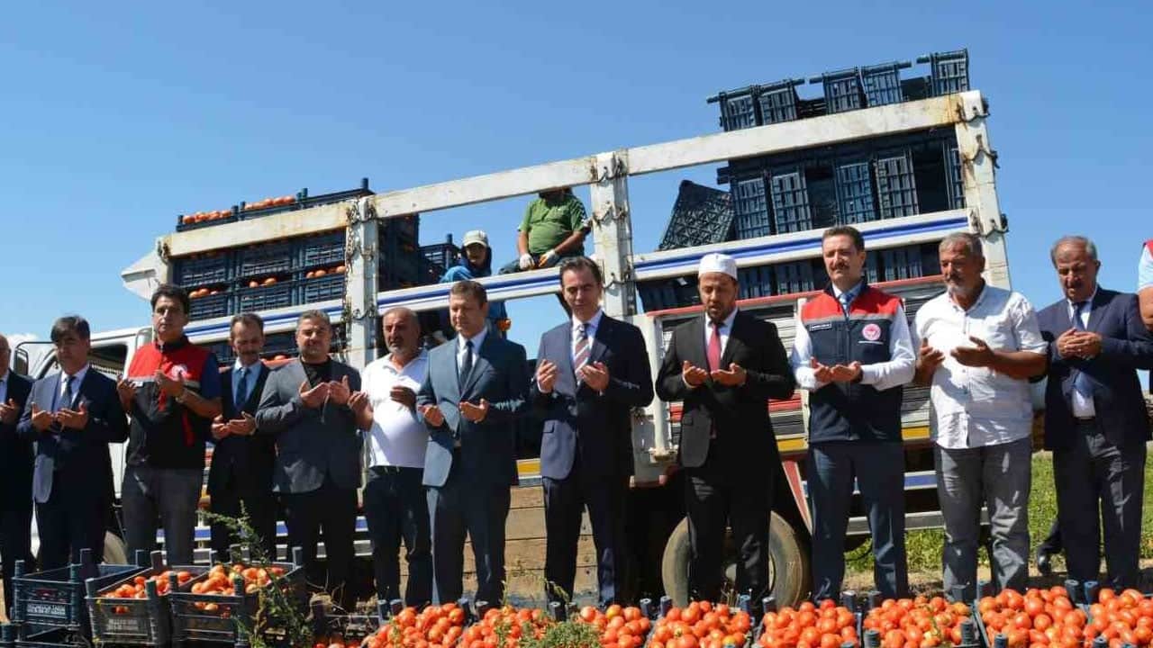 Foto - Domates hasadı başladı: Sadece O ilimiz bölgede 1’inci, Türkiye’de 7’nci sırada