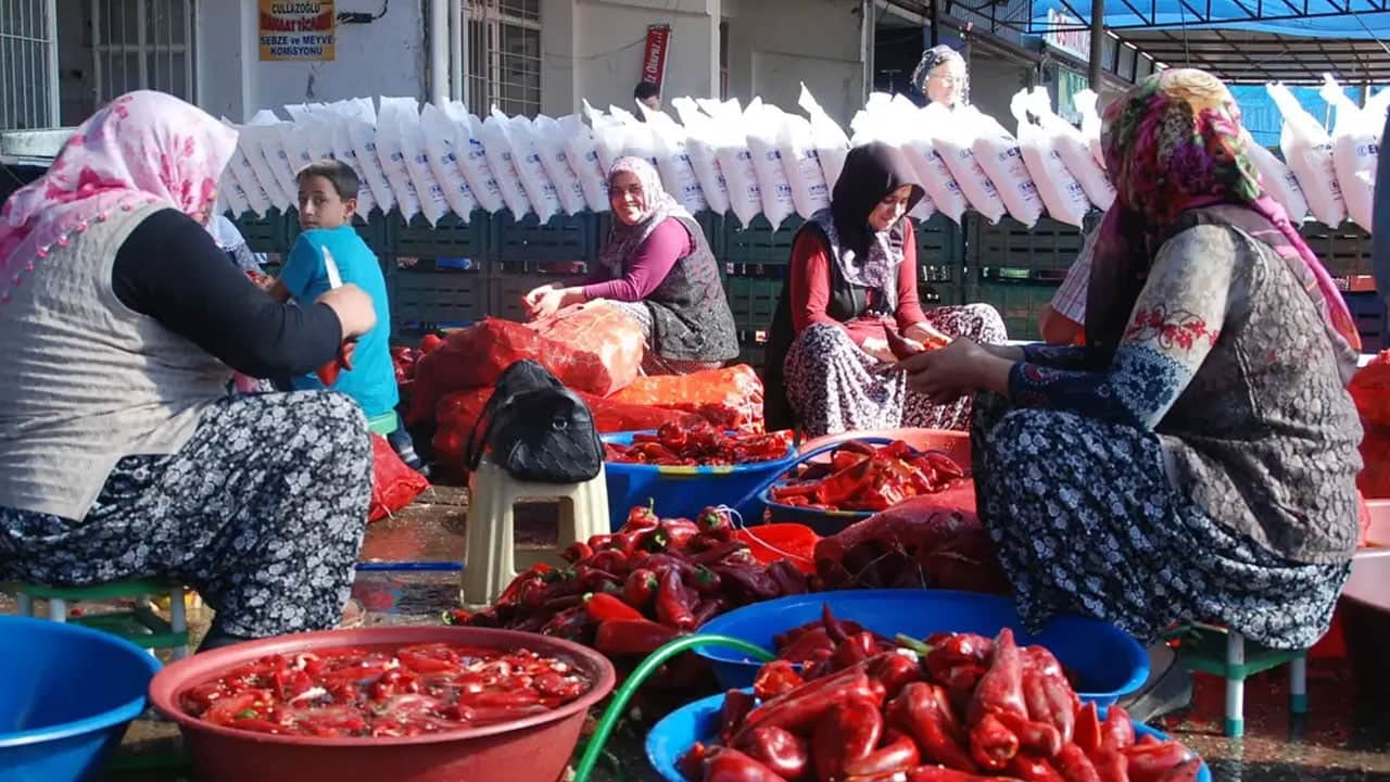 Foto - Domates hasadı başladı: Sadece O ilimiz bölgede 1’inci, Türkiye’de 7’nci sırada