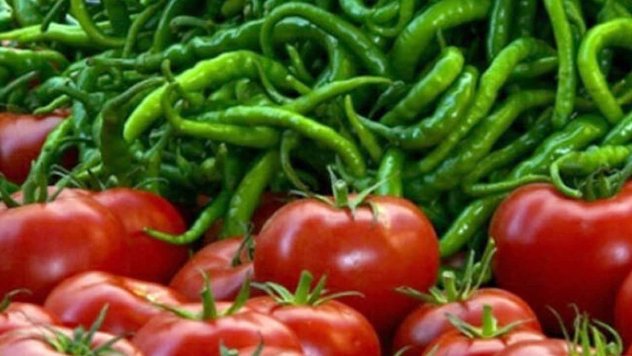 Foto - Domates ve salça beyin fonksiyonlarınızı nasıl etkileyebilir? Beslenmeye karşı bilinmeyen etkisi daha ortaya çıktı