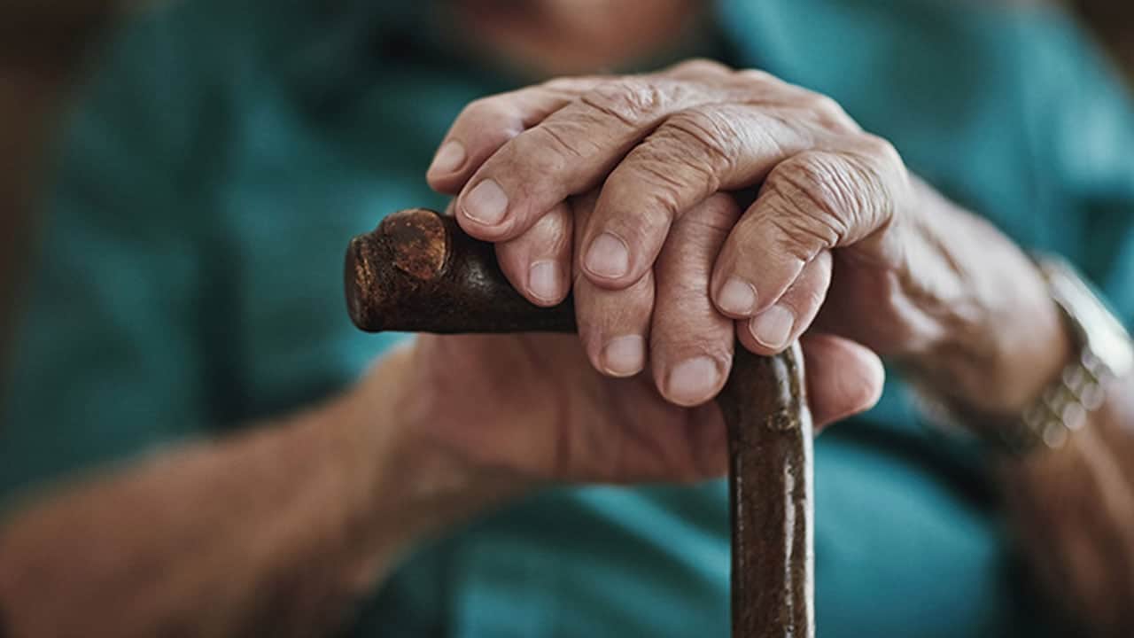 DSÖ’nün yeni raporu dikkat çekti! Dünya pandeminin izlerini siliyor