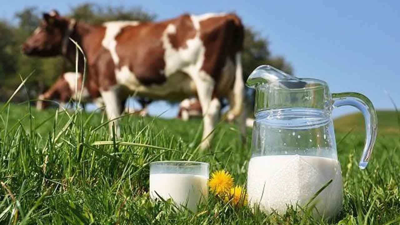 Foto - Dünya Okul Süt Günü etkinlikleri: Gölbaşı’nda öğrencilere 23 bin süt dağıtıldı
