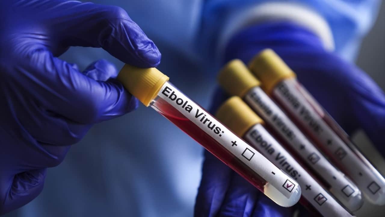Dünya Sağlık Örgütü alarm verdi! 900'den fazla vaka görüldü