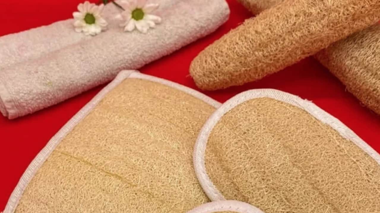 Foto - Duş lifleri tehlike saçabilir mi? Bakteri ve mantar üremesi tehdidi...