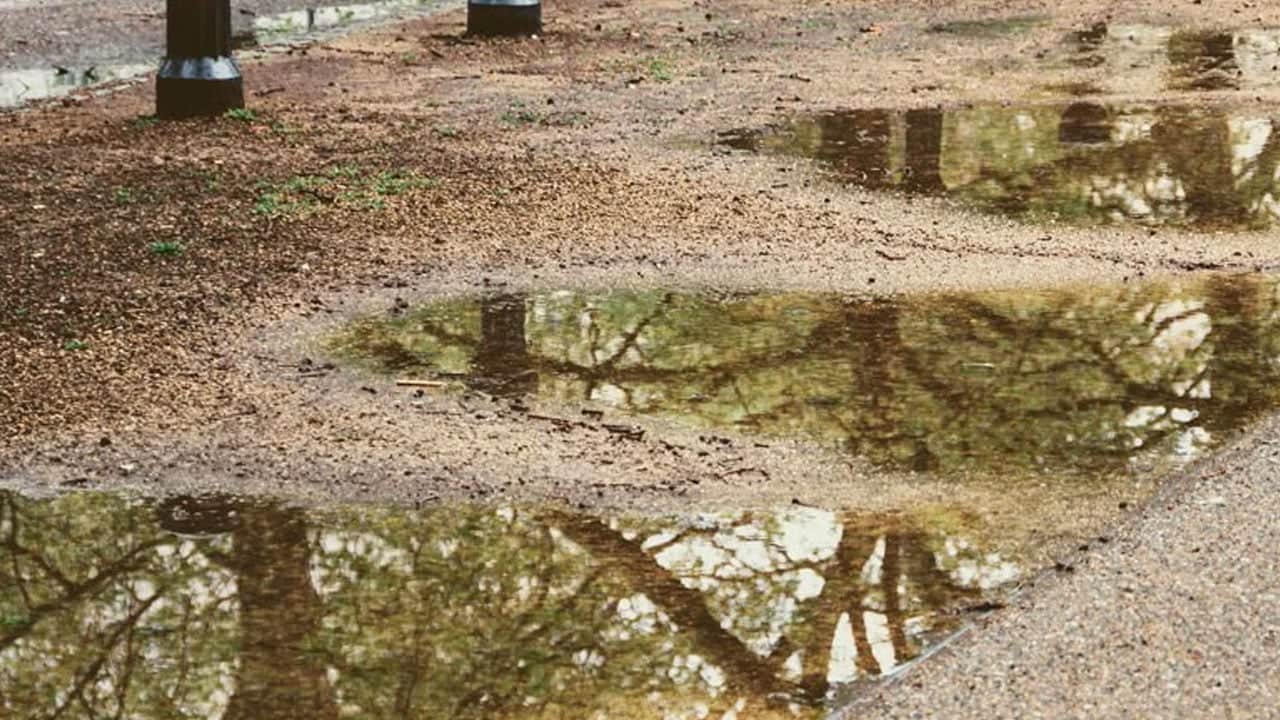 Foto - Duyunca inanamayacaksınız! Yağmur kokusunun bir adı olduğunu biliyor musunuz?