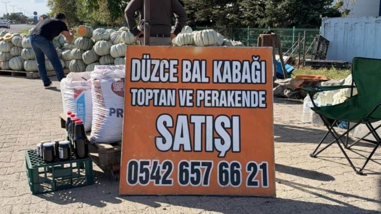 Foto - Düzce kabağının şöhreti Avrupa’ya ulaştı