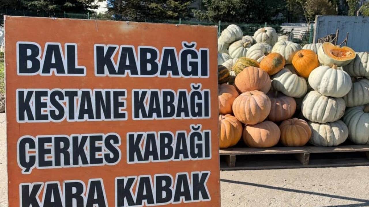 Foto - Düzce kabağının şöhreti Avrupa’ya ulaştı