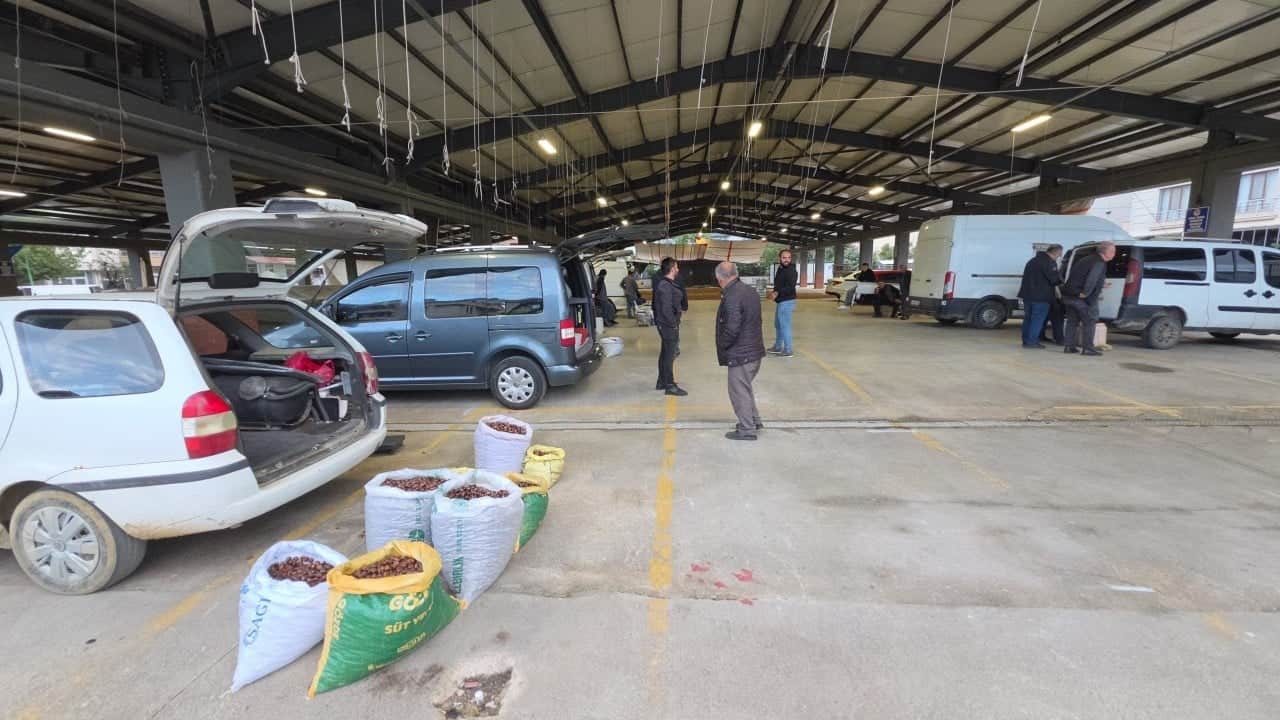 Foto - Her zaman 'çiğ yesek'... Düzce'de coğrafi işaretli kuzu kestane tezgahlarda: Kasa kasa satın alınan sağlık deposu