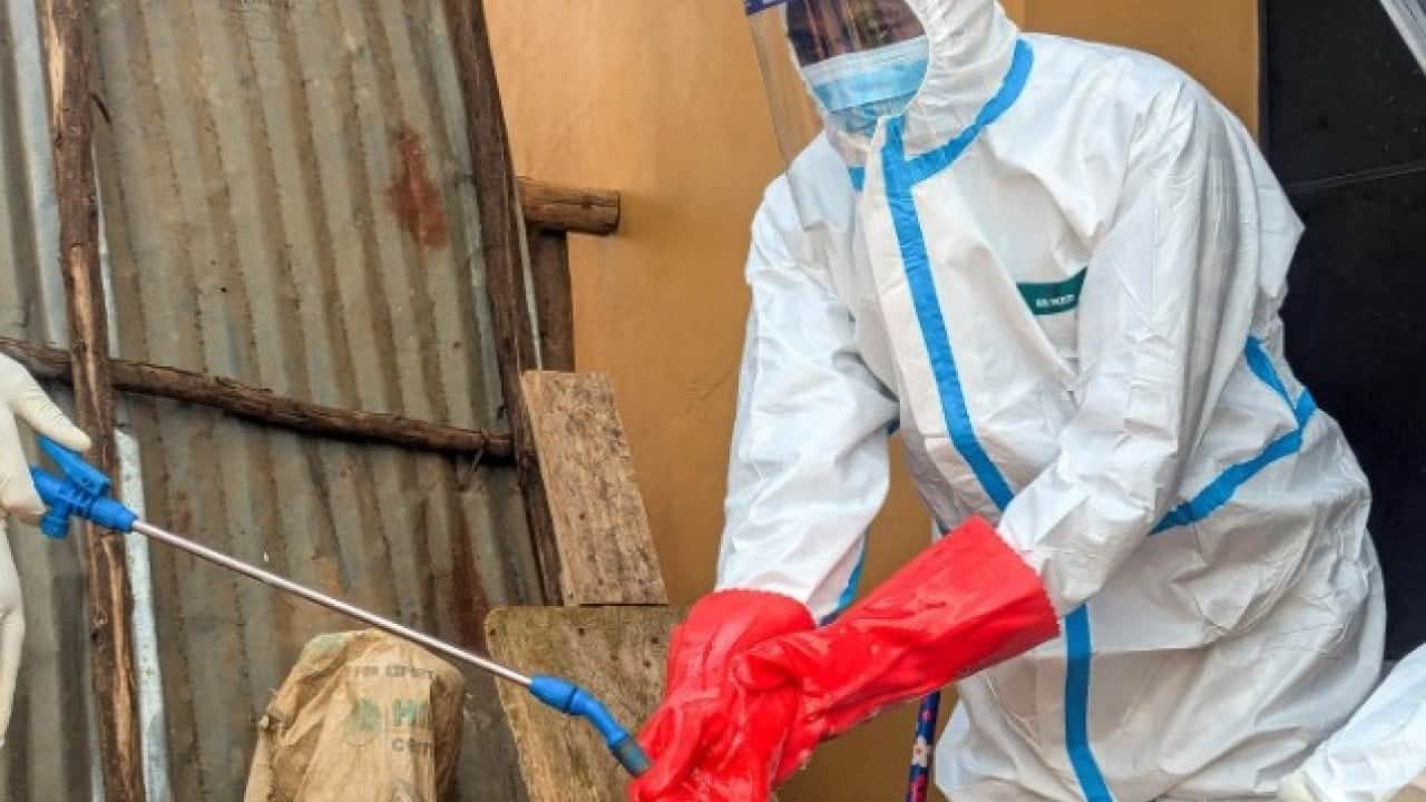 Foto - Ebola endişesi büyüyor: Aşı seferberliği başlatıldı