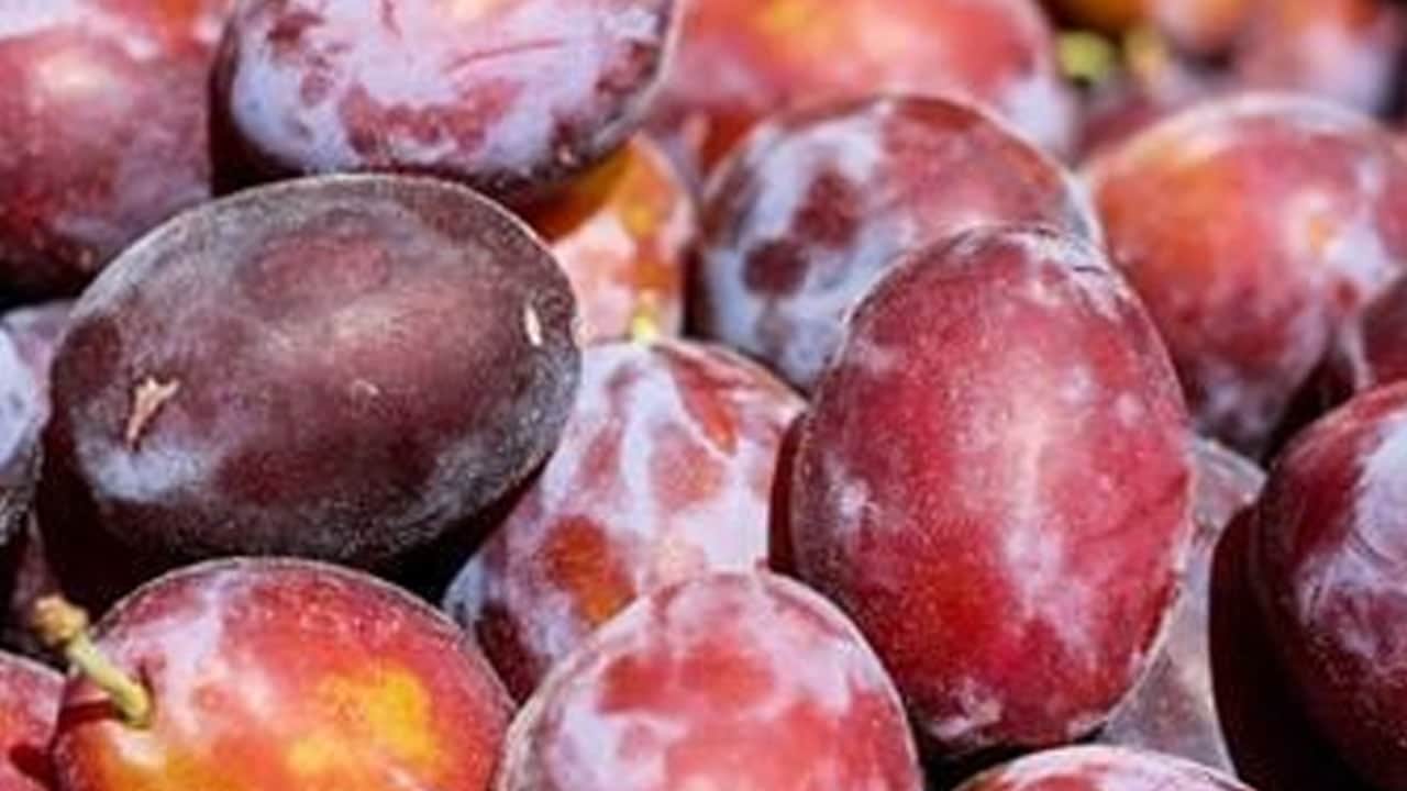 Eğer varsa kışlık tatlınızı 4 TL'ye mal ediyor! Kalıcı tat için kışın açılıyor... Tek tek fırın tepsisine diziliyor