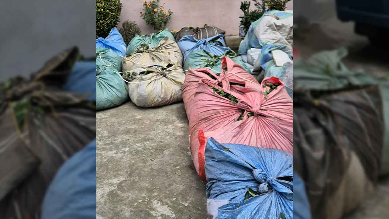 Foto - Elektrik kesilince tarlada mahsur kalan çayın imdadına elektrikli araç yetişti! Arkadaşına çektirdiği tonlarca ürünün karşılığında bakın ne verdi!