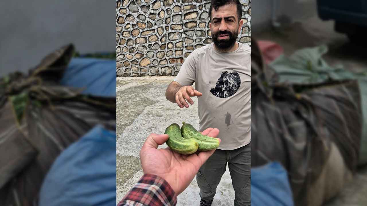 Foto - Elektrik kesilince tarlada mahsur kalan çayın imdadına elektrikli araç yetişti! Arkadaşına çektirdiği tonlarca ürünün karşılığında bakın ne verdi!