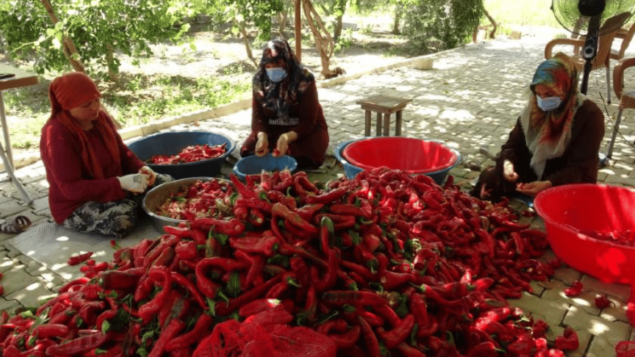 Foto - Elleriyle güneşin altına diziyorlar: Kilosu 300 liradan satılıyor!