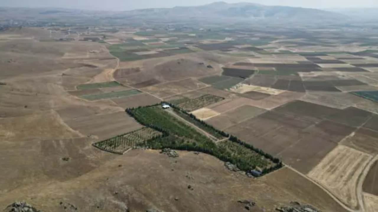 Foto - Emekli olup çorak araziyi ekti: Yeni halini görenler gözlerine inanamadı!