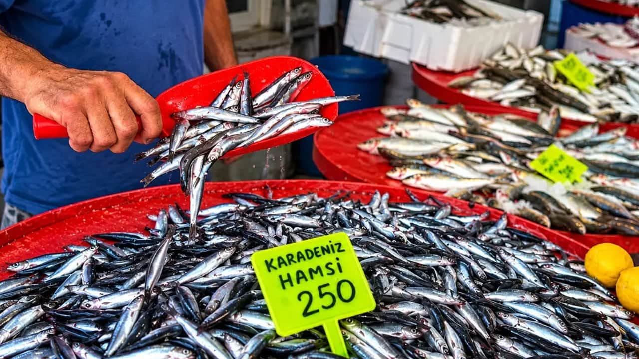 En faydalı protein, vitamin ve mineraller açısından önemli olduğu belli oldu: Yapay zeka hamsiyi işaret etti