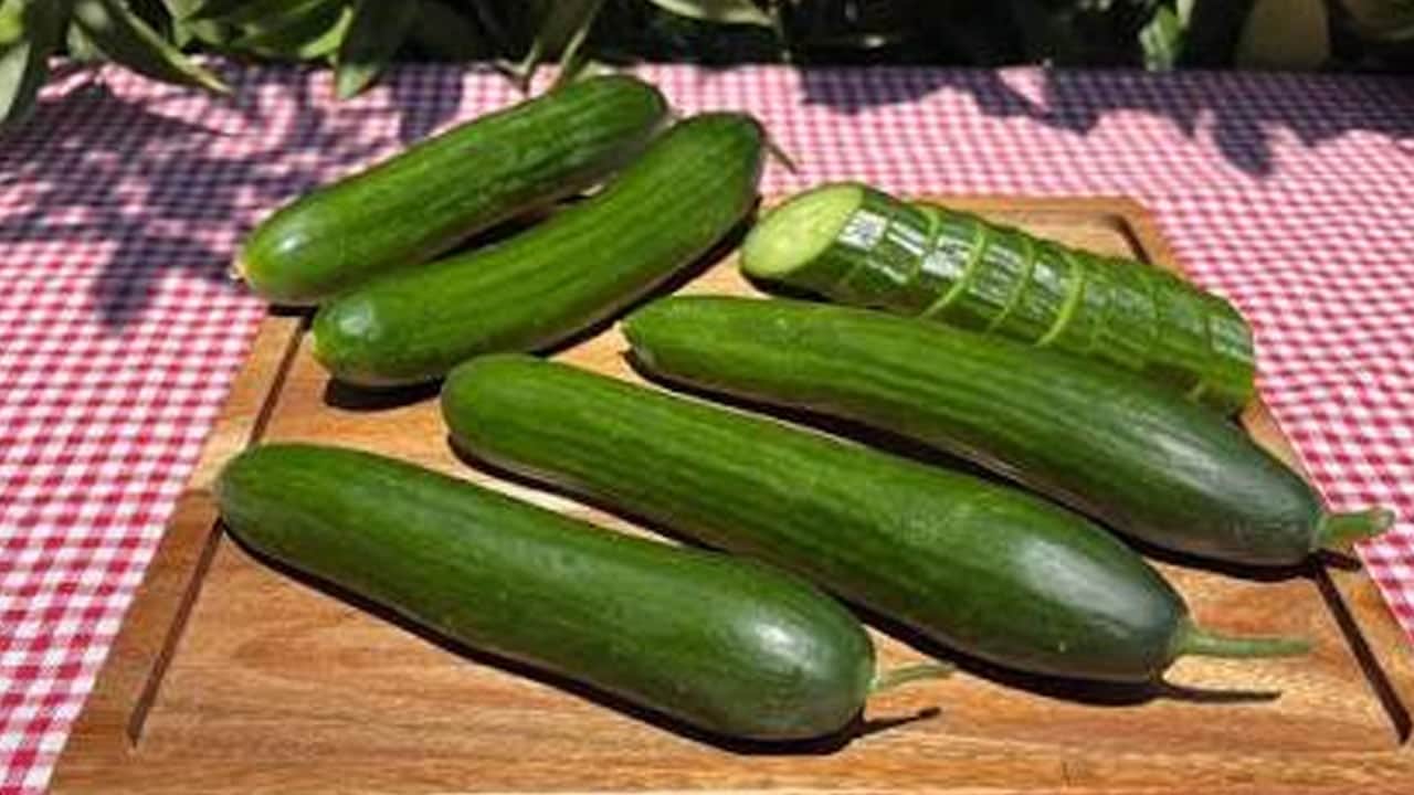 Foto - En güçlü yöntem: Salatalıkları haftalarca taze tutuyor! Şefin basit saklama yöntemi ile 10 güne kadar hazır 