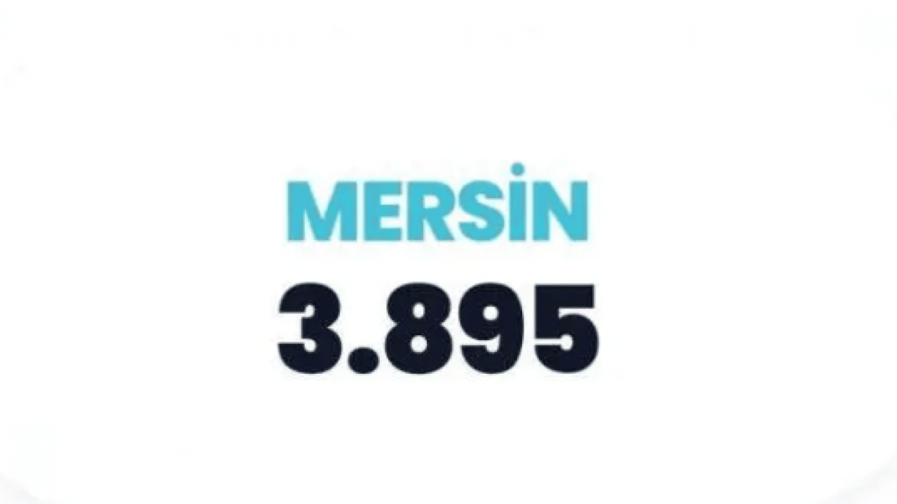 Foto - Ehliyeti kasaptan almışlar: En kötü şoförlerin olduğu iller belli oldu!