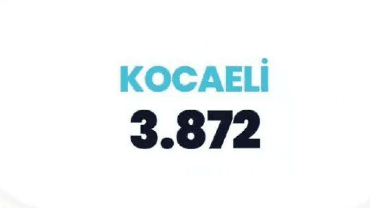 Foto - Ehliyeti kasaptan almışlar: En kötü şoförlerin olduğu iller belli oldu!