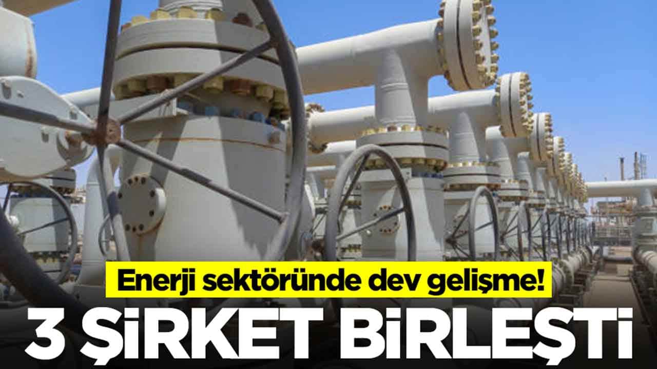 Enerji sektöründe dev gelişme: 3 şirket birleşti