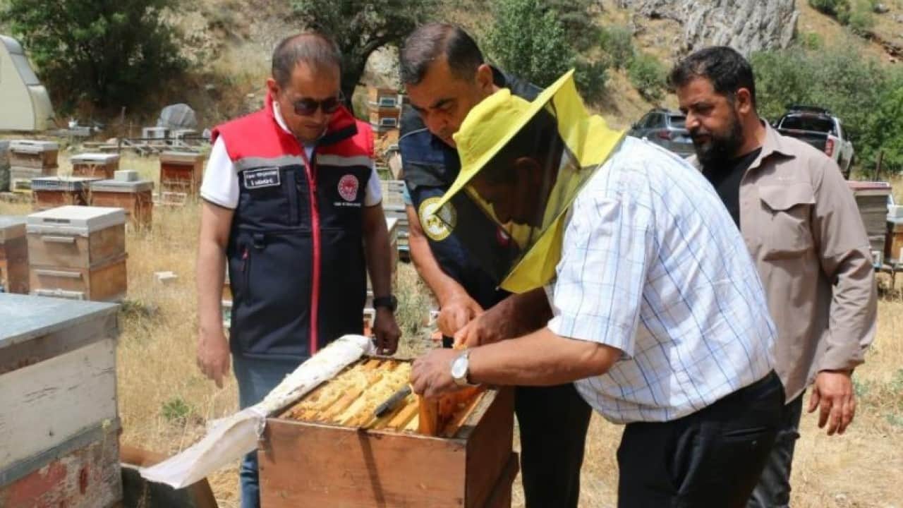 Foto - Erzincan’da bal bereketi! Bu yıl bin 500 ton üretim bekleniyor