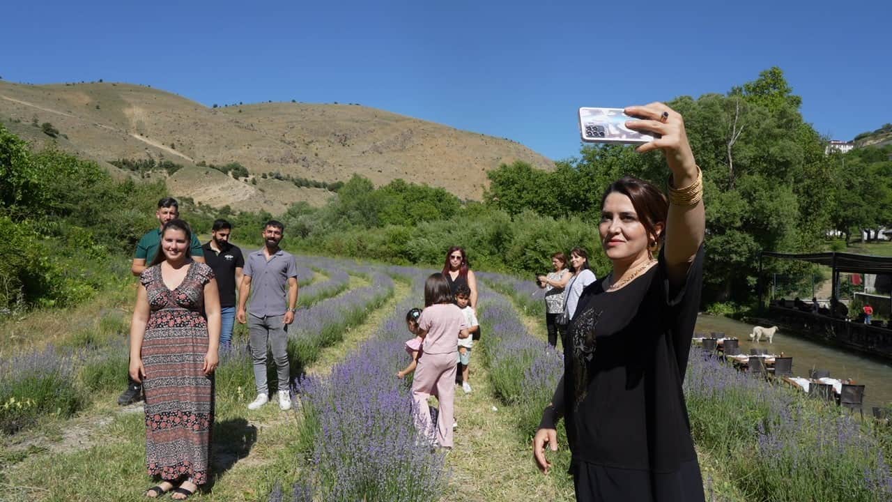 Foto - Erzincan'da mor cennet: 8 bin kök lavanta ziyaretçilerini büyülüyor