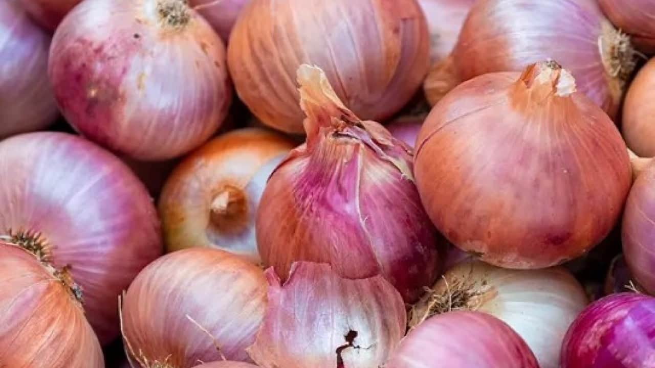 Etkisini öğrenince şaşıracaksınız! Soğanları teker teker sarıp dolaba koyunca...