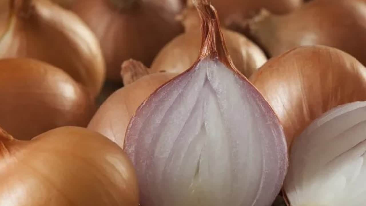 Foto - Etkisini öğrenince şaşıracaksınız! Soğanları teker teker sarıp dolaba koyunca...