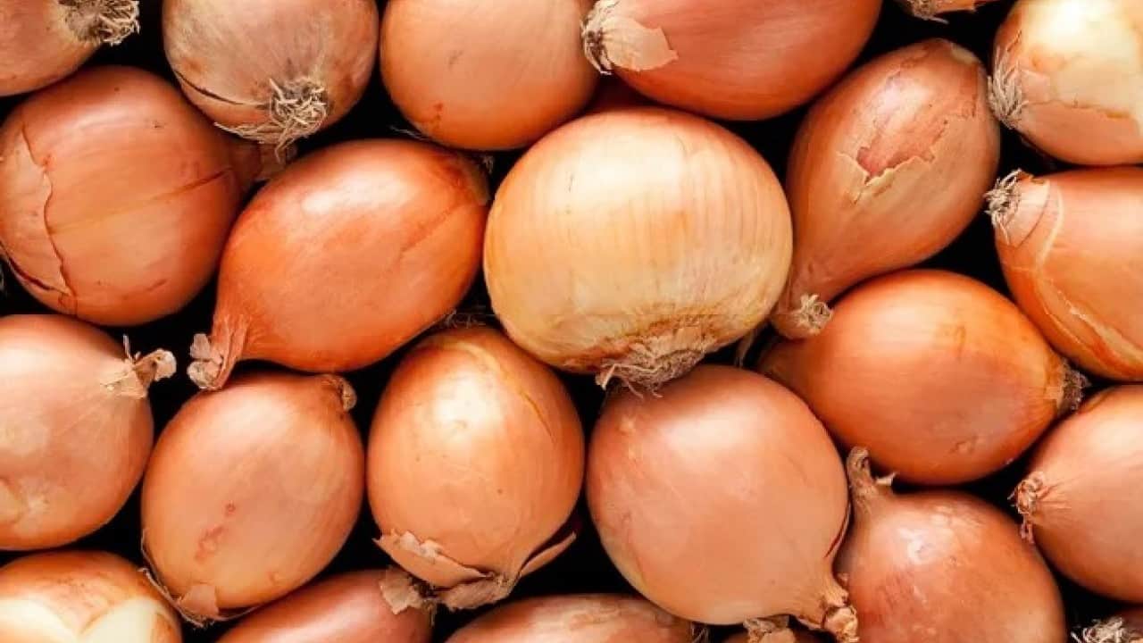 Foto - Etkisini öğrenince şaşıracaksınız! Soğanları teker teker sarıp dolaba koyunca...