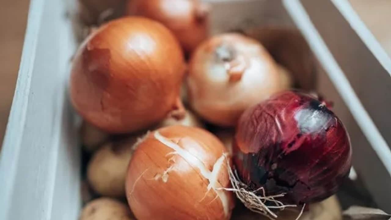 Foto - Etkisini öğrenince şaşıracaksınız! Soğanları teker teker sarıp dolaba koyunca...