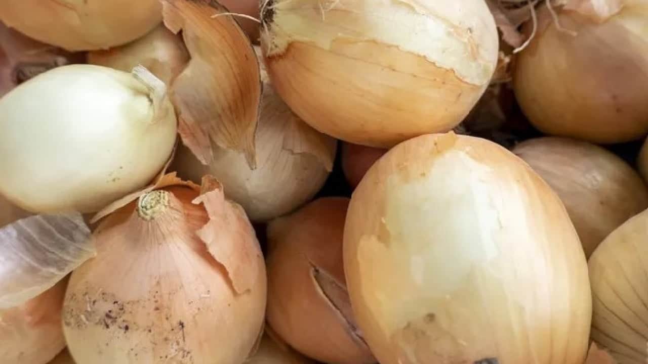 Foto - Etkisini öğrenince şaşıracaksınız! Soğanları teker teker sarıp dolaba koyunca...