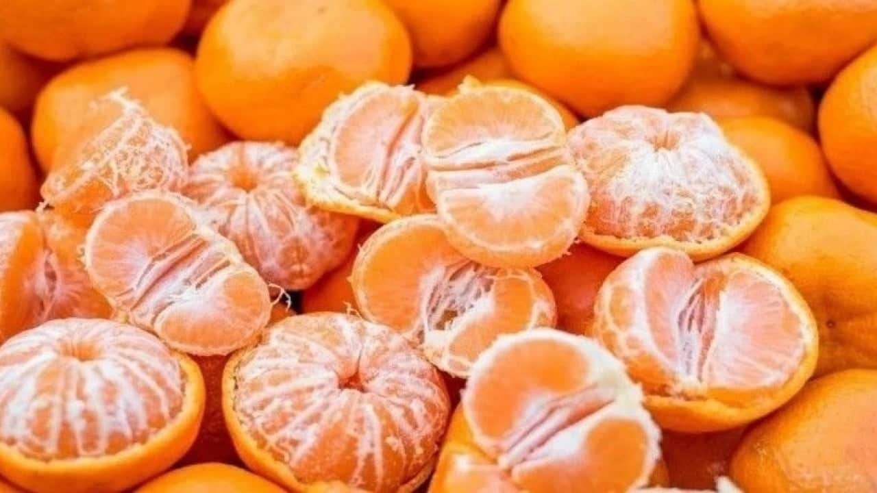 Foto - Eve gidince pişman olmamak için mandalinayı koklayın