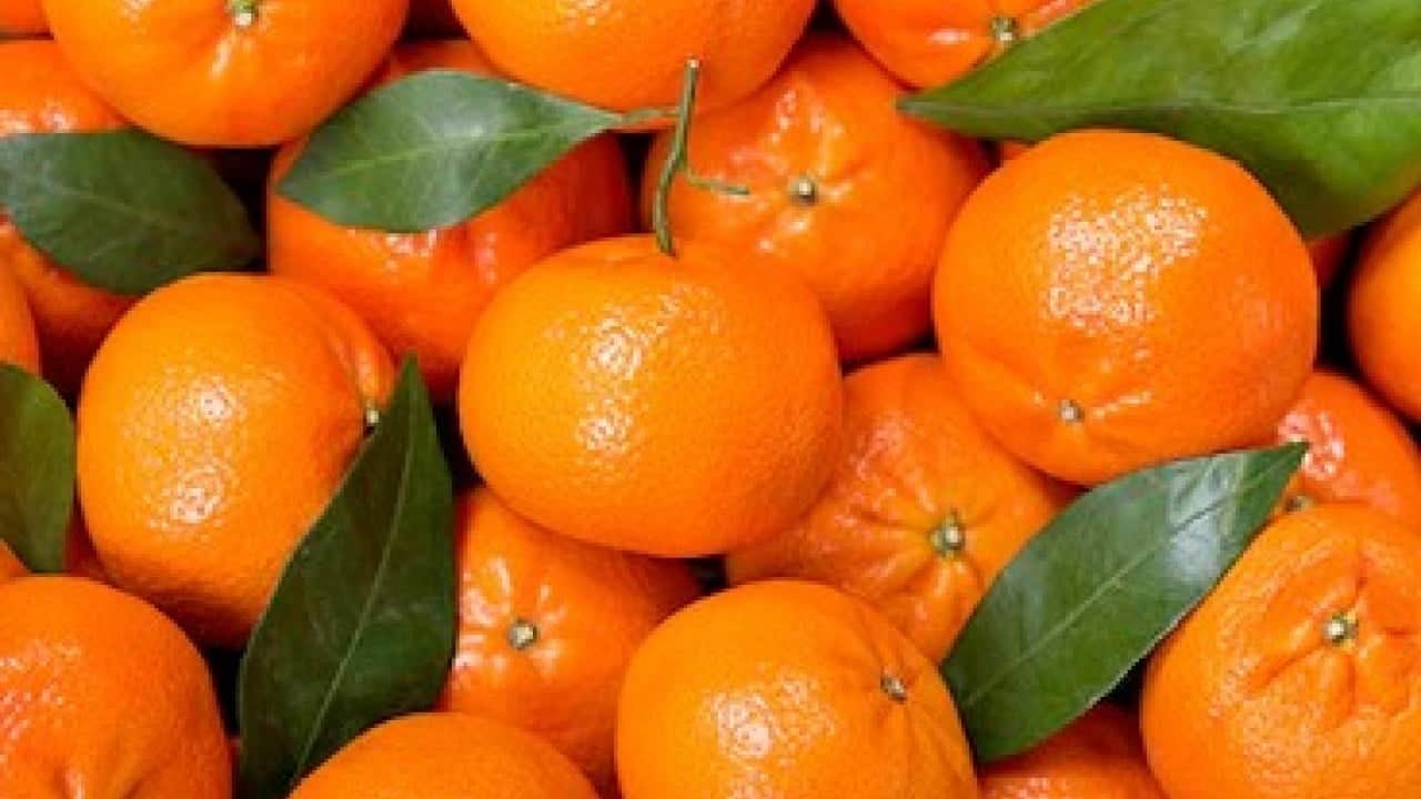 Eve gidince pişman olmamak için mandalinayı koklayın