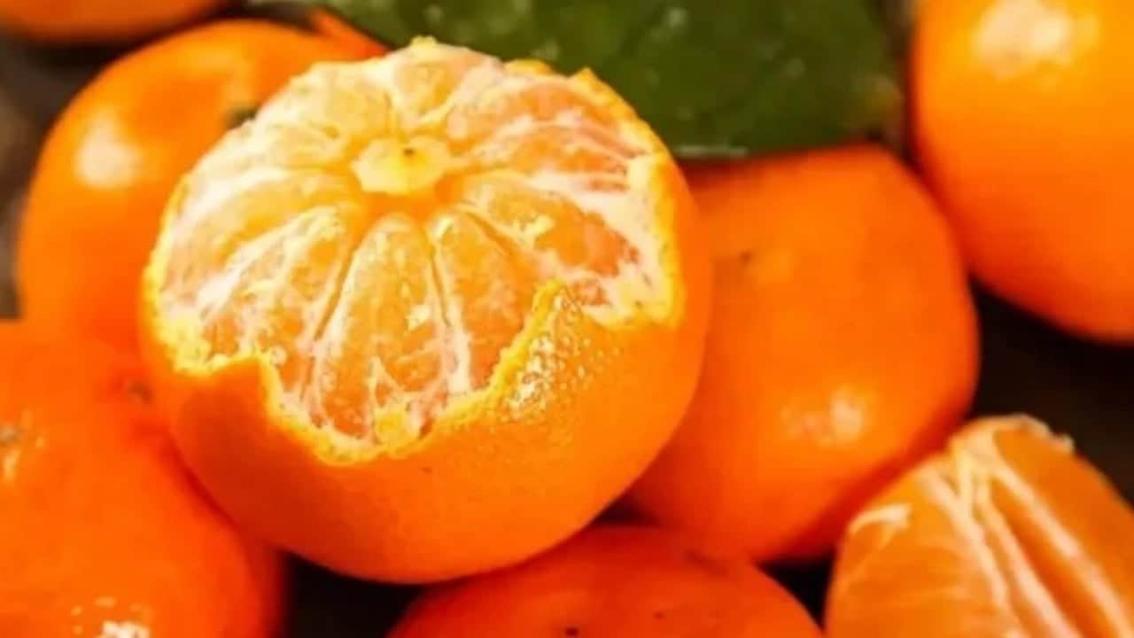 Foto - Eve gidince pişman olmamak için mandalinayı koklayın