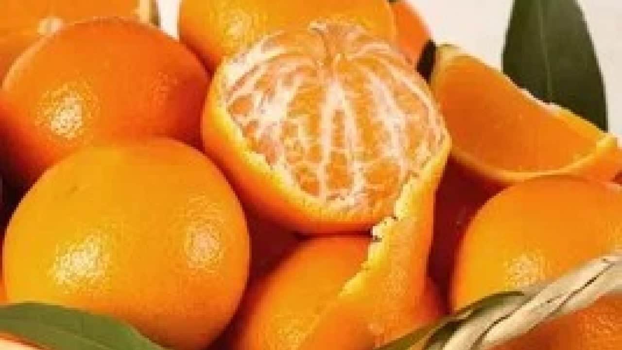 Foto - Eve gidince pişman olmamak için mandalinayı koklayın