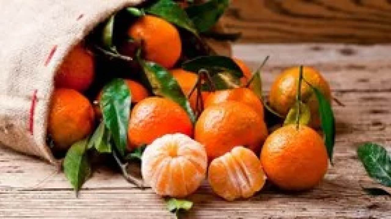 Foto - Eve gidince pişman olmamak için mandalinayı koklayın