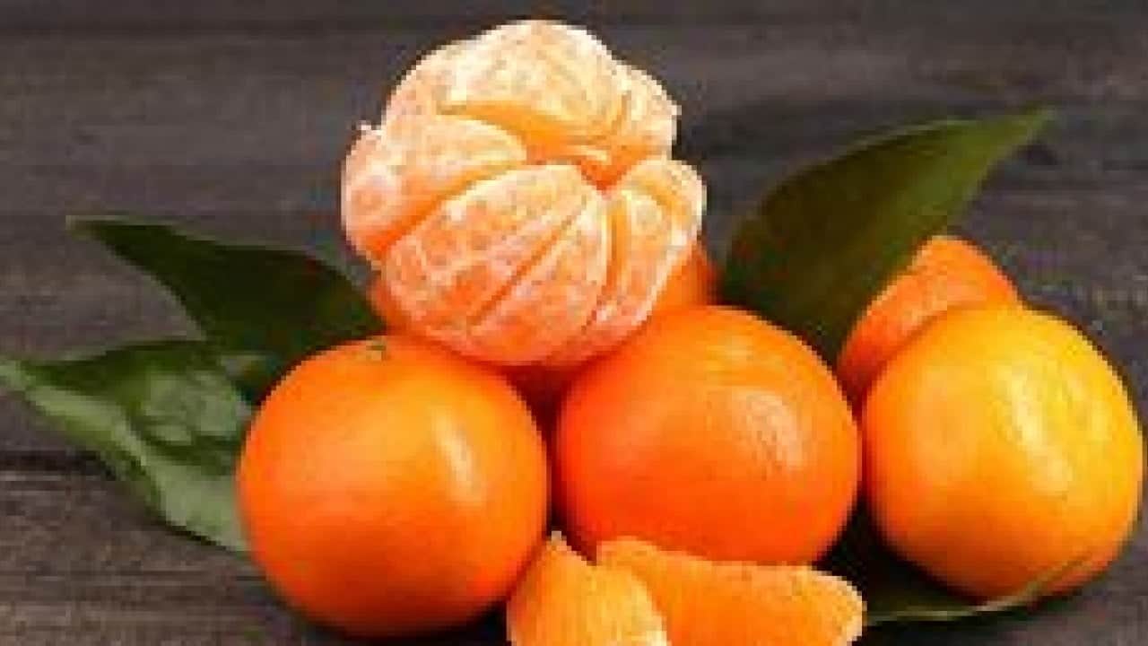 Foto - Eve gidince pişman olmamak için mandalinayı koklayın