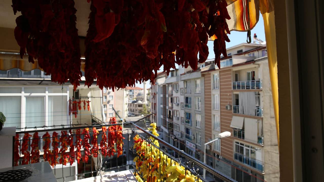 Foto - Evinin balkonunda resmen para basmaya başladı: Yılda tam 2 ton üretiyor, siparişlere yetişemiyor