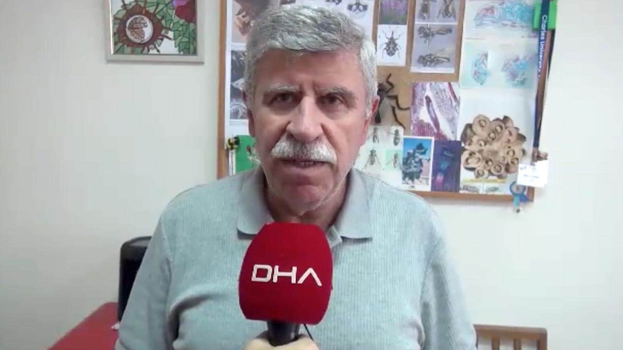 Foto - Evladının adını bilim dünyasında yaşatacak: Keşfettiği sinek türüne ölen oğlunun adını verdi