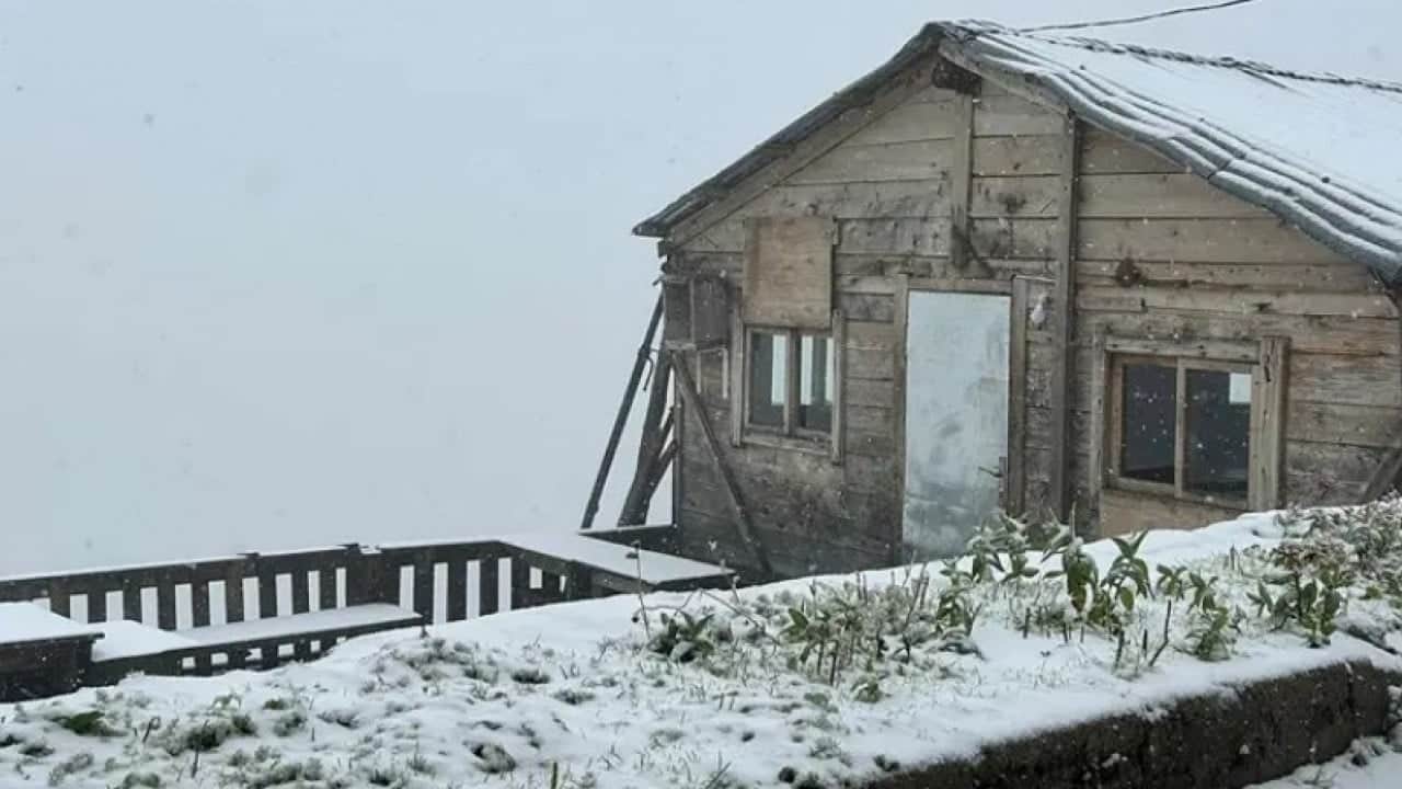 Foto - Eylül ayında şaşırtan görüntü: Sabah gözlerini açanlar sürprizle karşılaştı