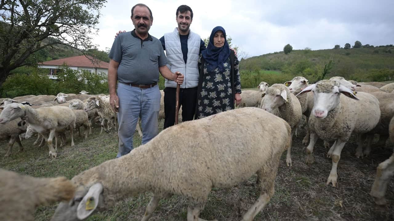 Foto - Fabrikada işçisi, devletten aldığı 100 küçükbaş ile patron da oldu: Herkes başvursun, herkes zengin olsun!