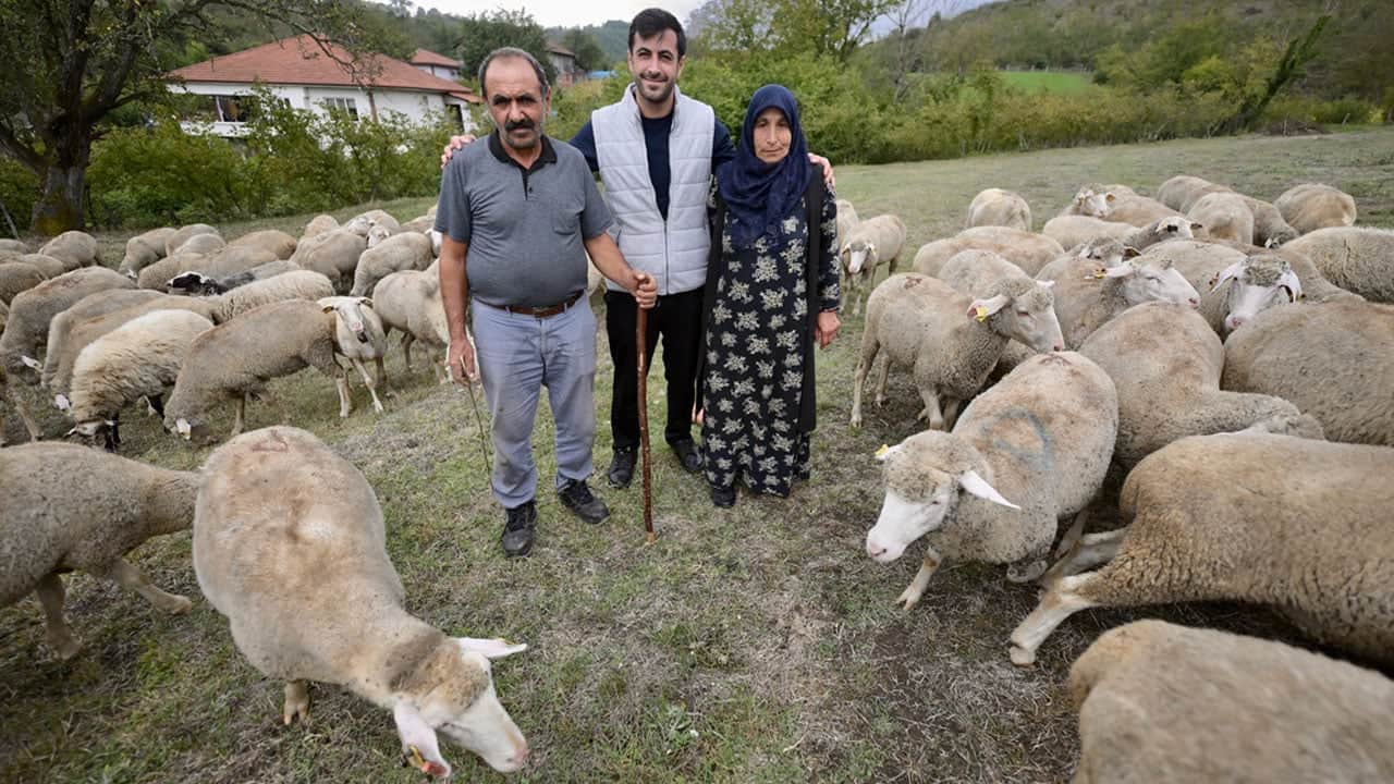 Fabrikada işçisi, devletten aldığı 100 küçükbaş ile patron da oldu: Herkes başvursun, herkes zengin olsun!