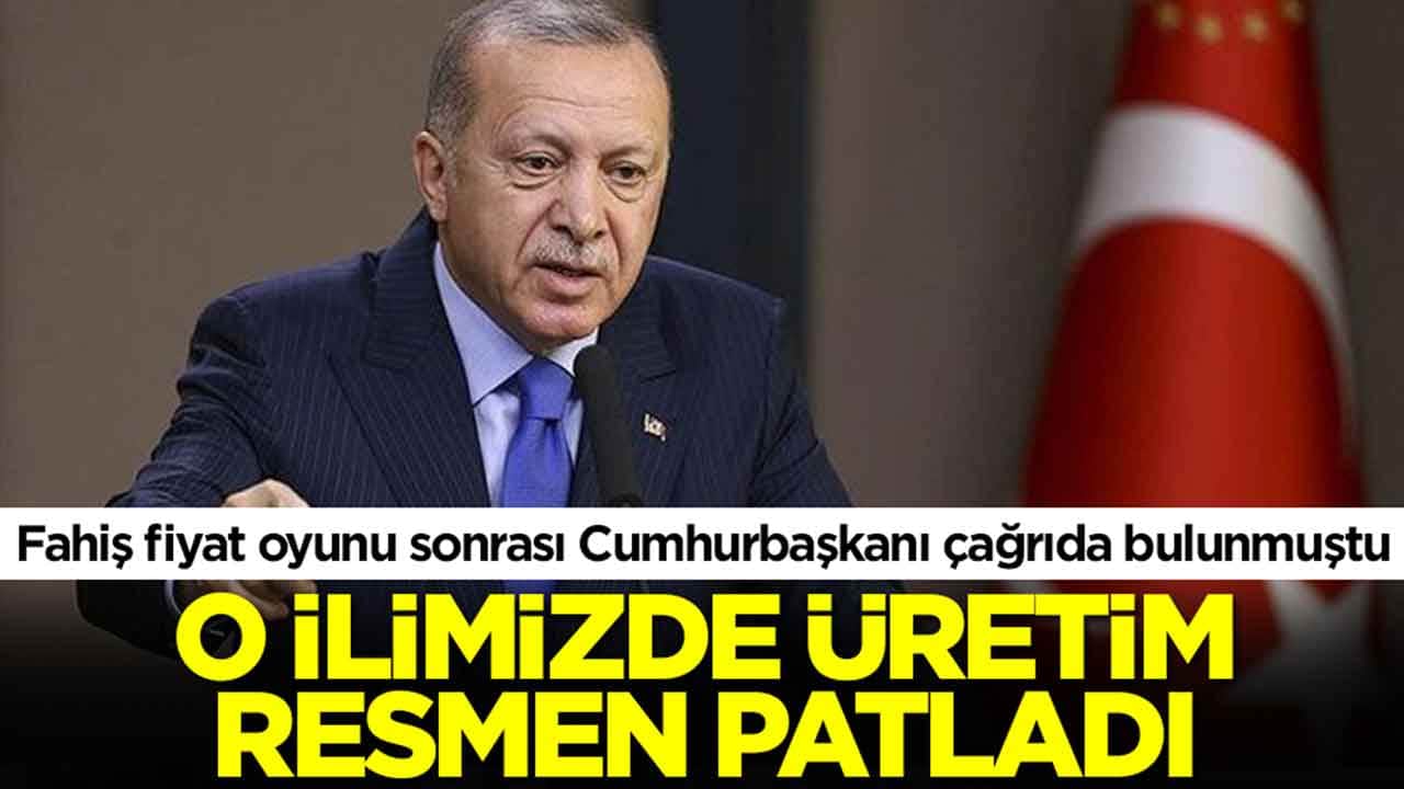 Fahiş fiyat oyunu sonrası Cumhurbaşkanı çağrıda bulunmuştu: O ilimizde üretim resmen patladı