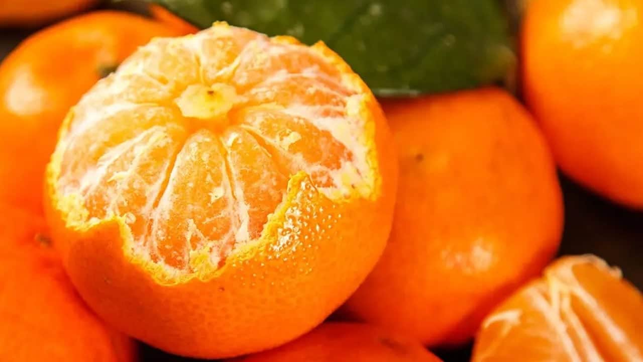 Fark kabuğundan anlaşılıyor: Mandalina ekşi mi? Haberi görenler gözlerine inanamadı!