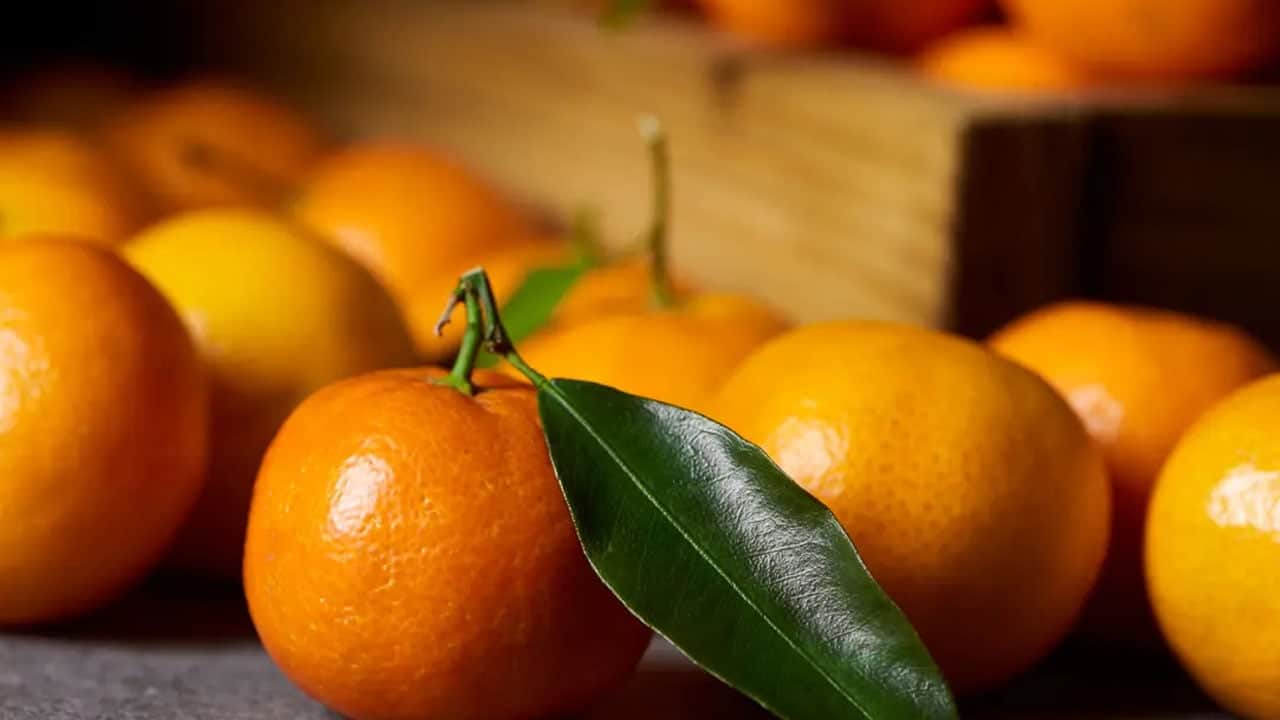 Foto - Fark kabuğundan anlaşılıyor: Mandalina ekşi mi? Haberi görenler gözlerine inanamadı!